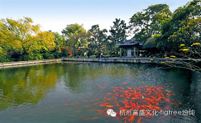 看！那些縈繞在美頸云肩邊的西湖美景（一）