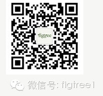 看！那些縈繞在美頸云肩邊的西湖美景（二）