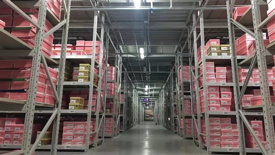 它們和人一樣，其實(shí)都需要更好的家